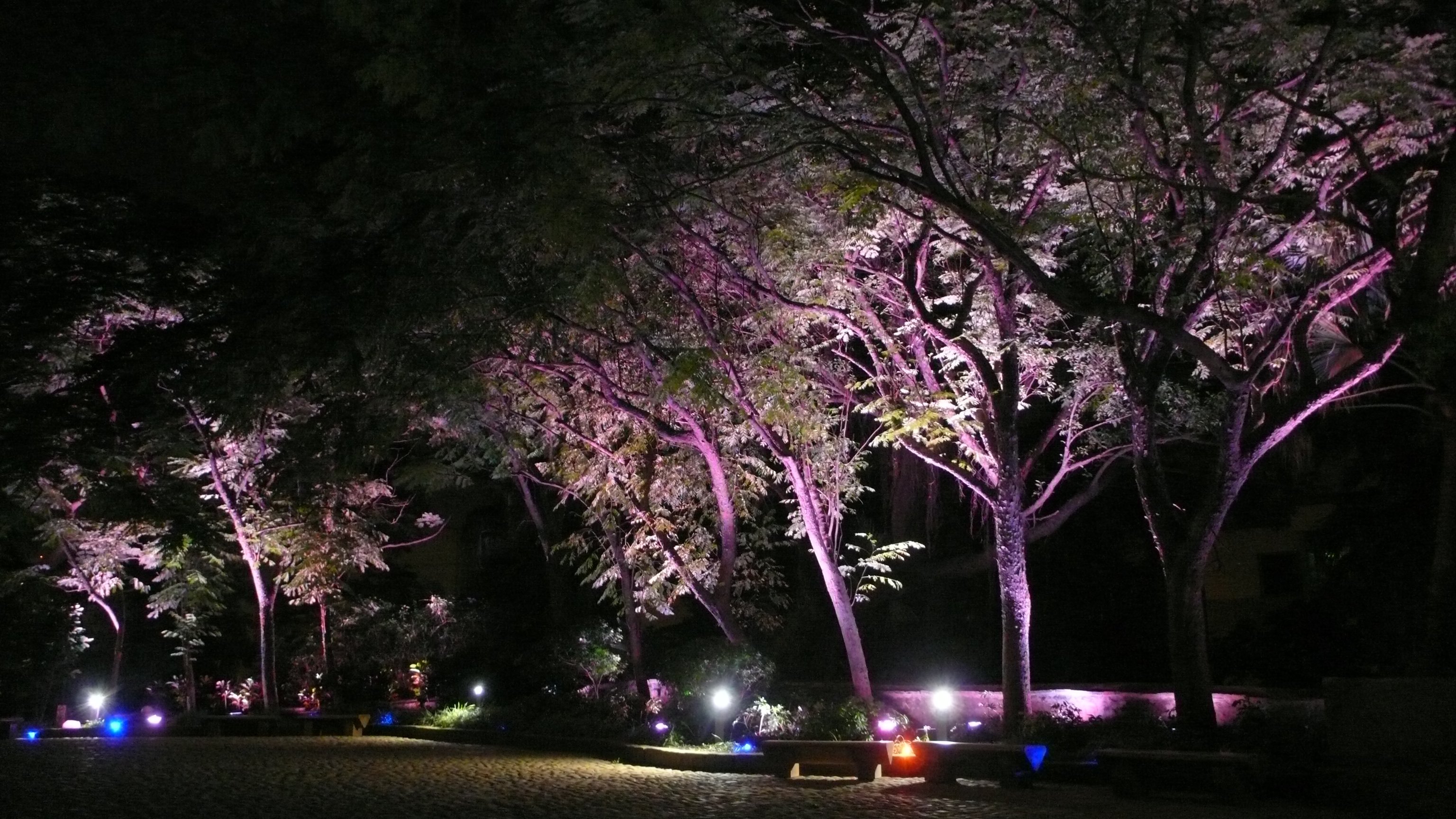 淡水古蹟博物館<span>Tamsui Historical Museum</span>