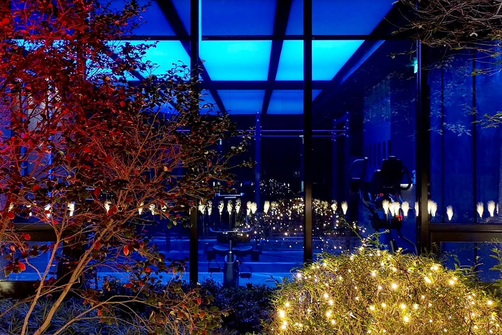 丰格109<span>Funge109</span>