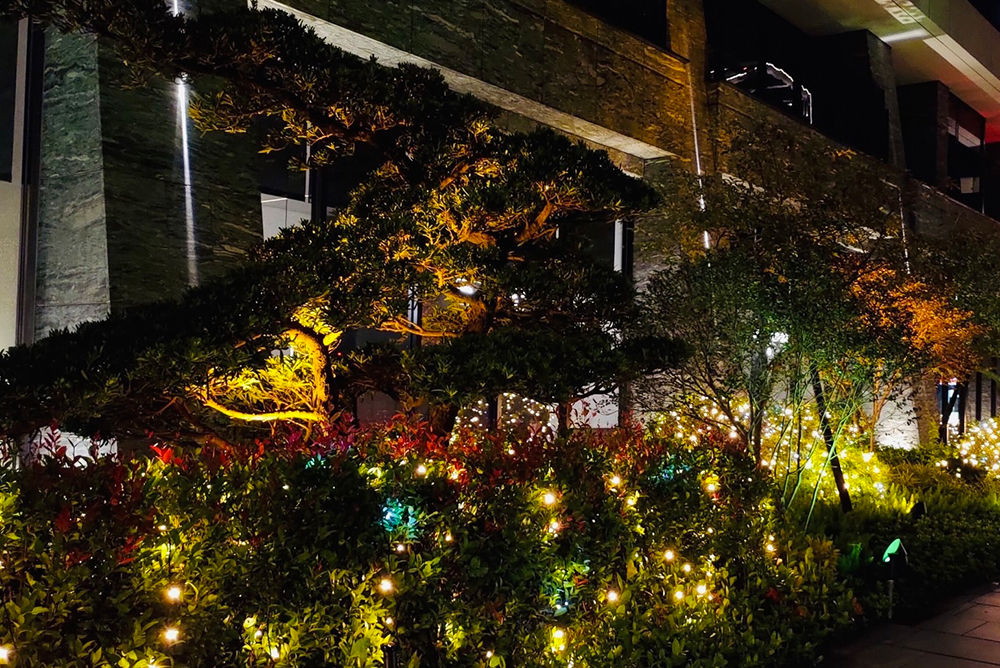 丰格109<span>Funge109</span>