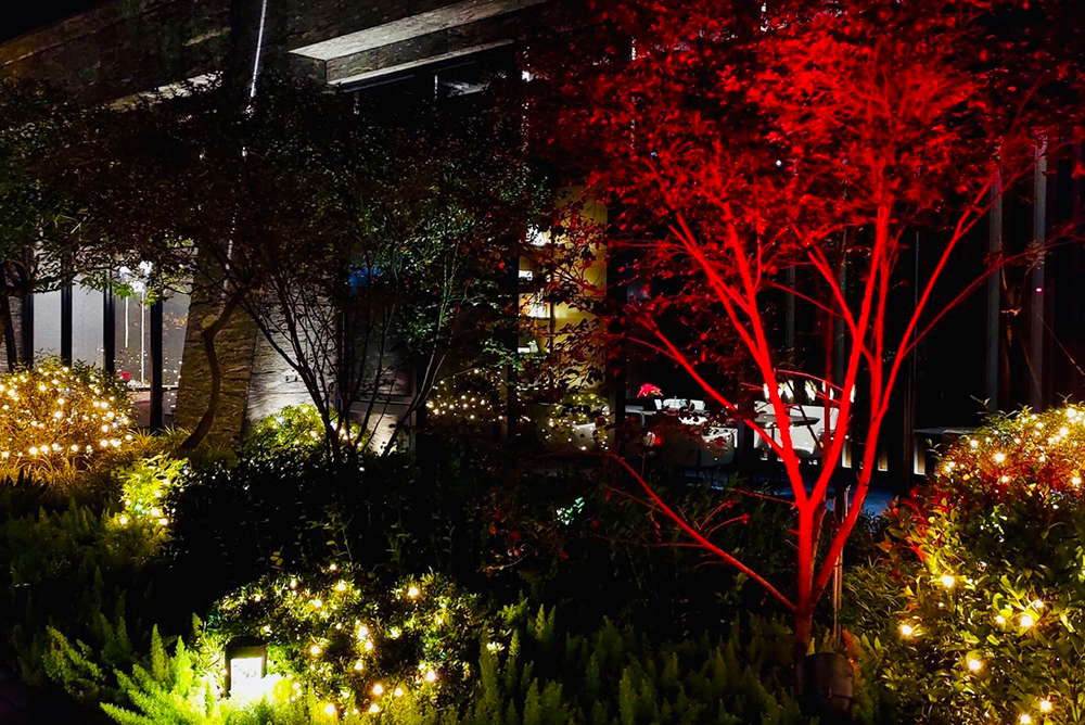 丰格109<span>Funge109</span>