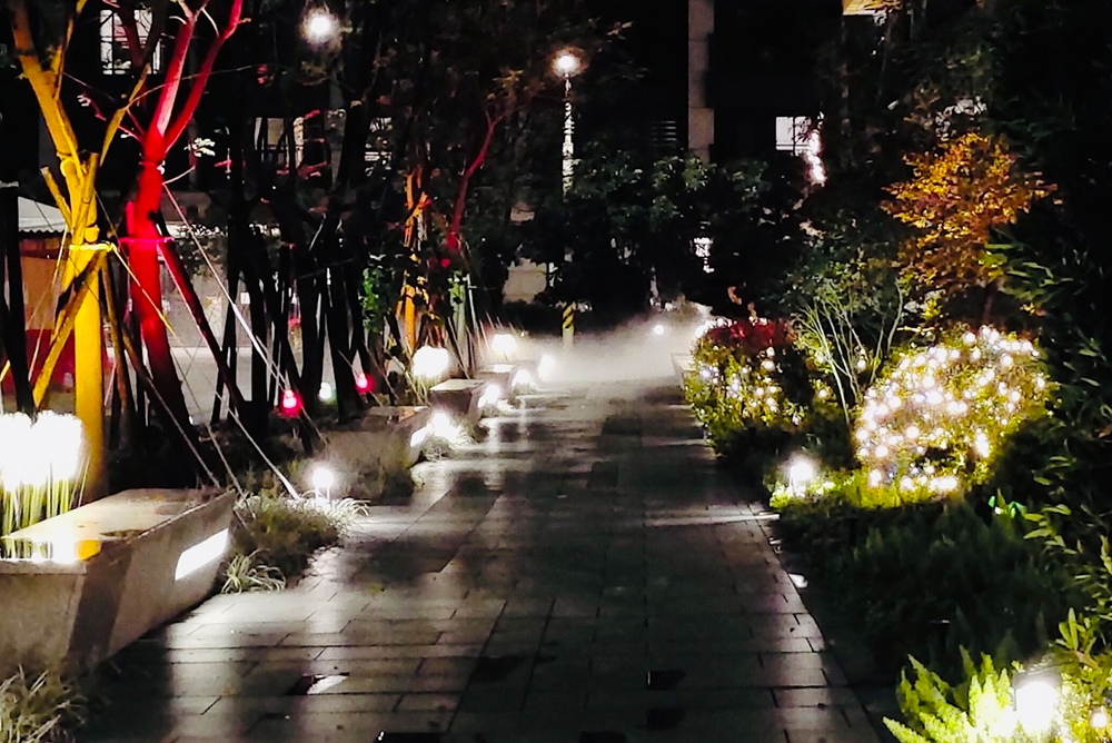 丰格109<span>Funge109</span>