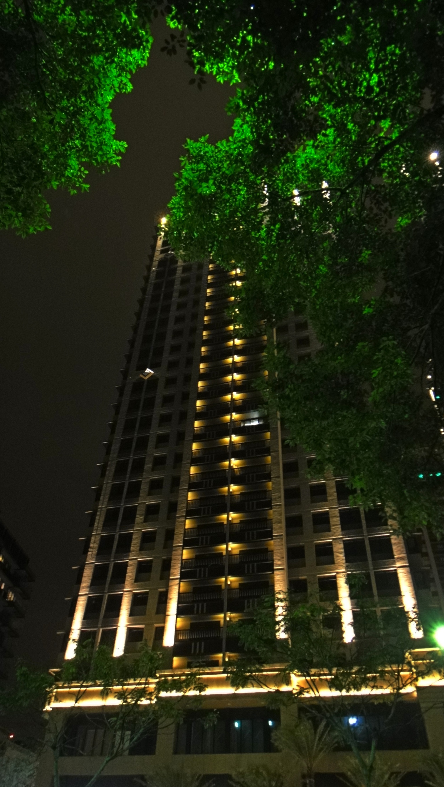 皇翔玉鼎<span>Huang Hsiang Yuding</span>