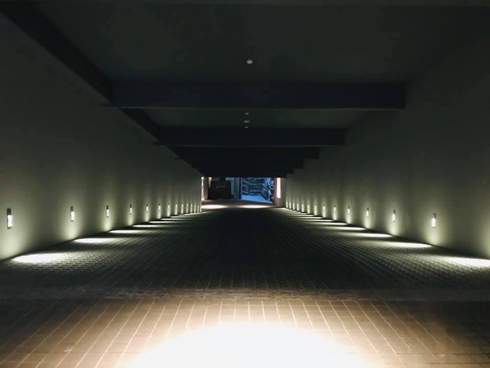 陸府植森<span>Live Forever Zhisen</span>