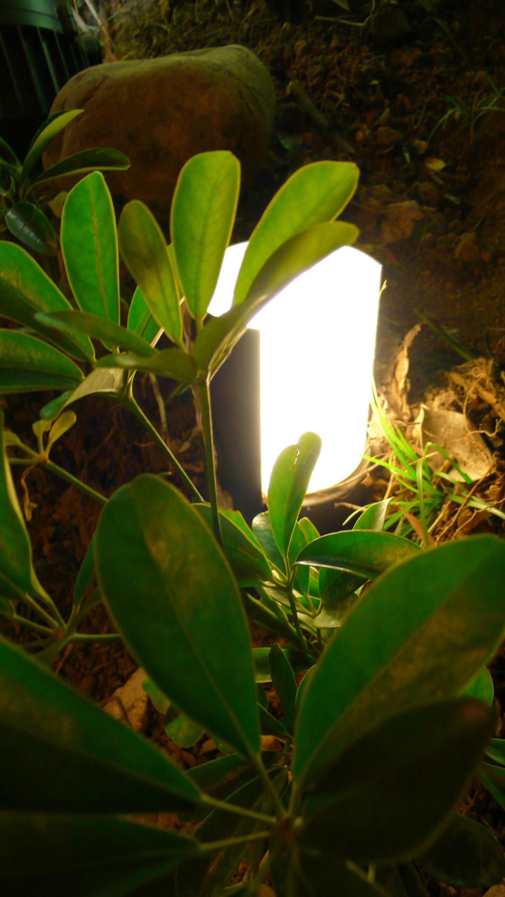 淡水紅毛城埔頂步道<span>Puding Ln., tamsui</span>