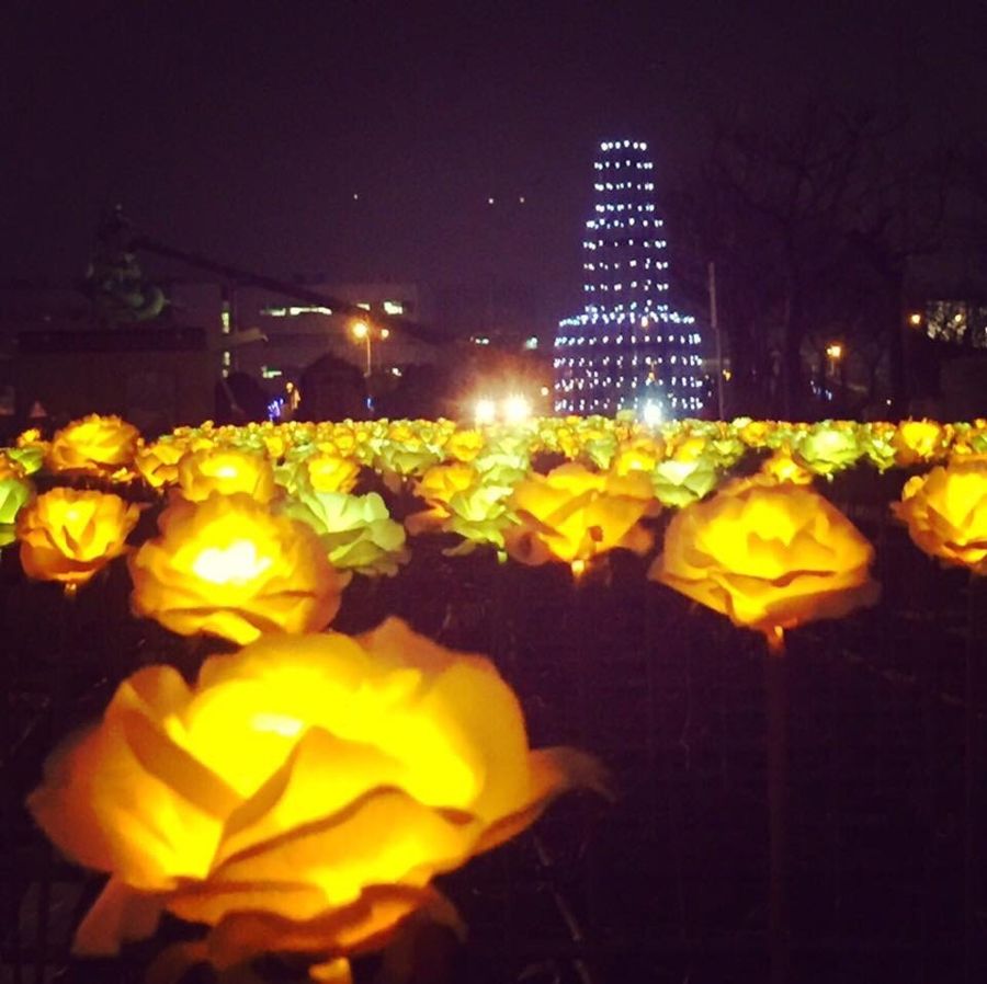 2016台灣燈會-桃園故事軸<span>2016 Taiwan Lantern Festival</span>