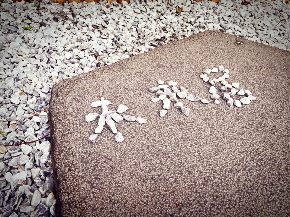 2017中華建經-未來居講習會<span>Architecture Association of the R.O.C - 2017 Workshop</span>