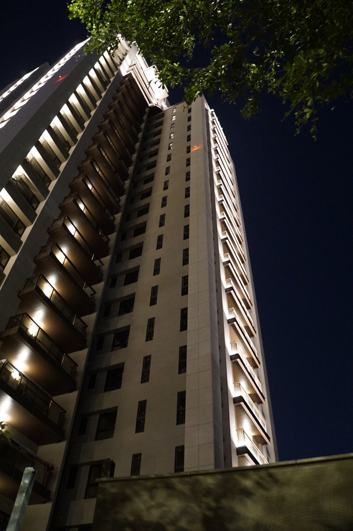 舜元睦森林<span>Shun Yuan Forest Walk</span>