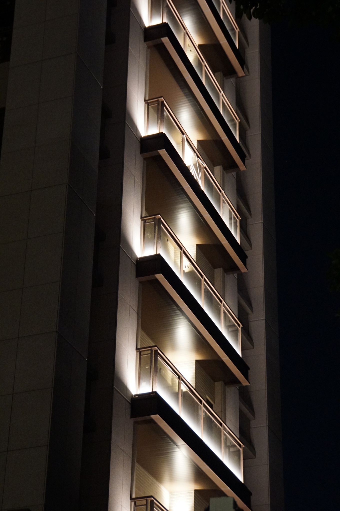 舜元睦森林<span>Shun Yuan Forest Walk</span>