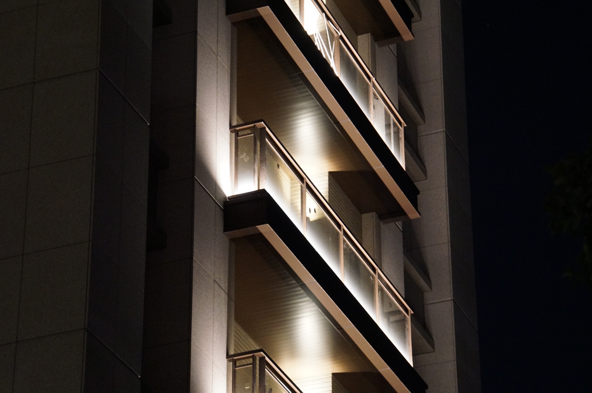 舜元睦森林<span>Shun Yuan Forest Walk</span>