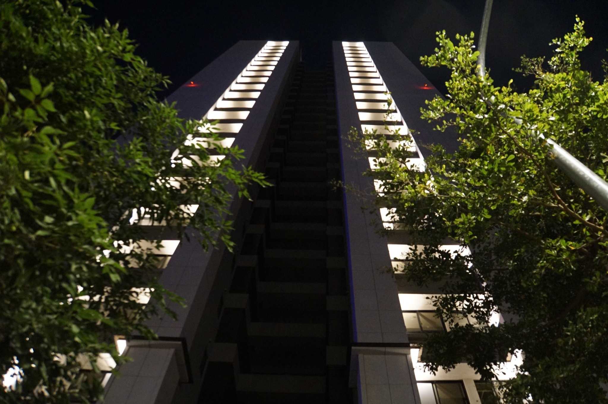 舜元睦森林<span>Shun Yuan Forest Walk</span>