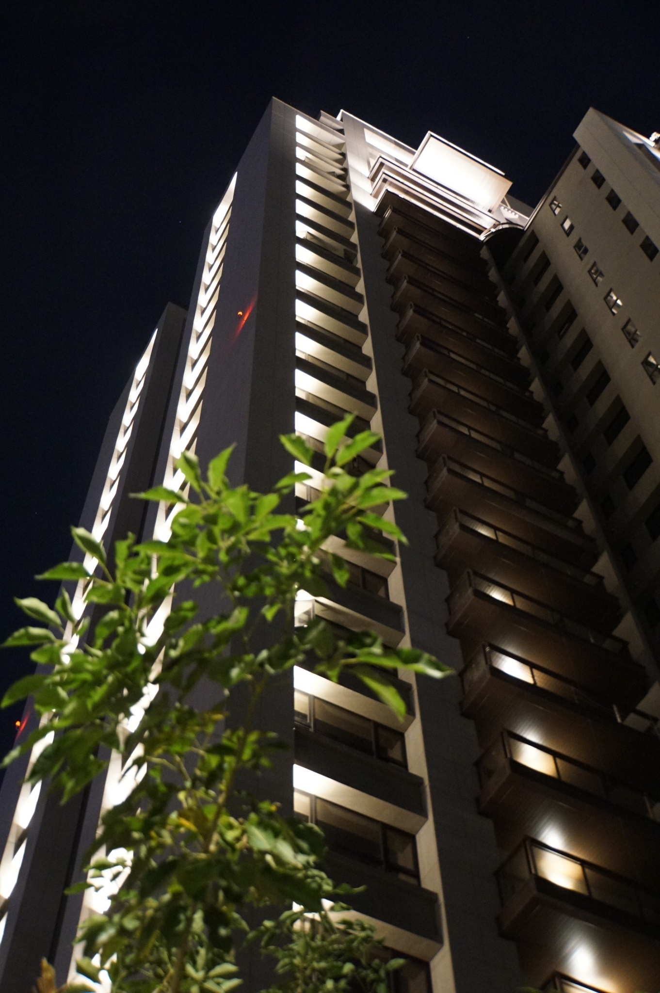 舜元睦森林<span>Shun Yuan Forest Walk</span>