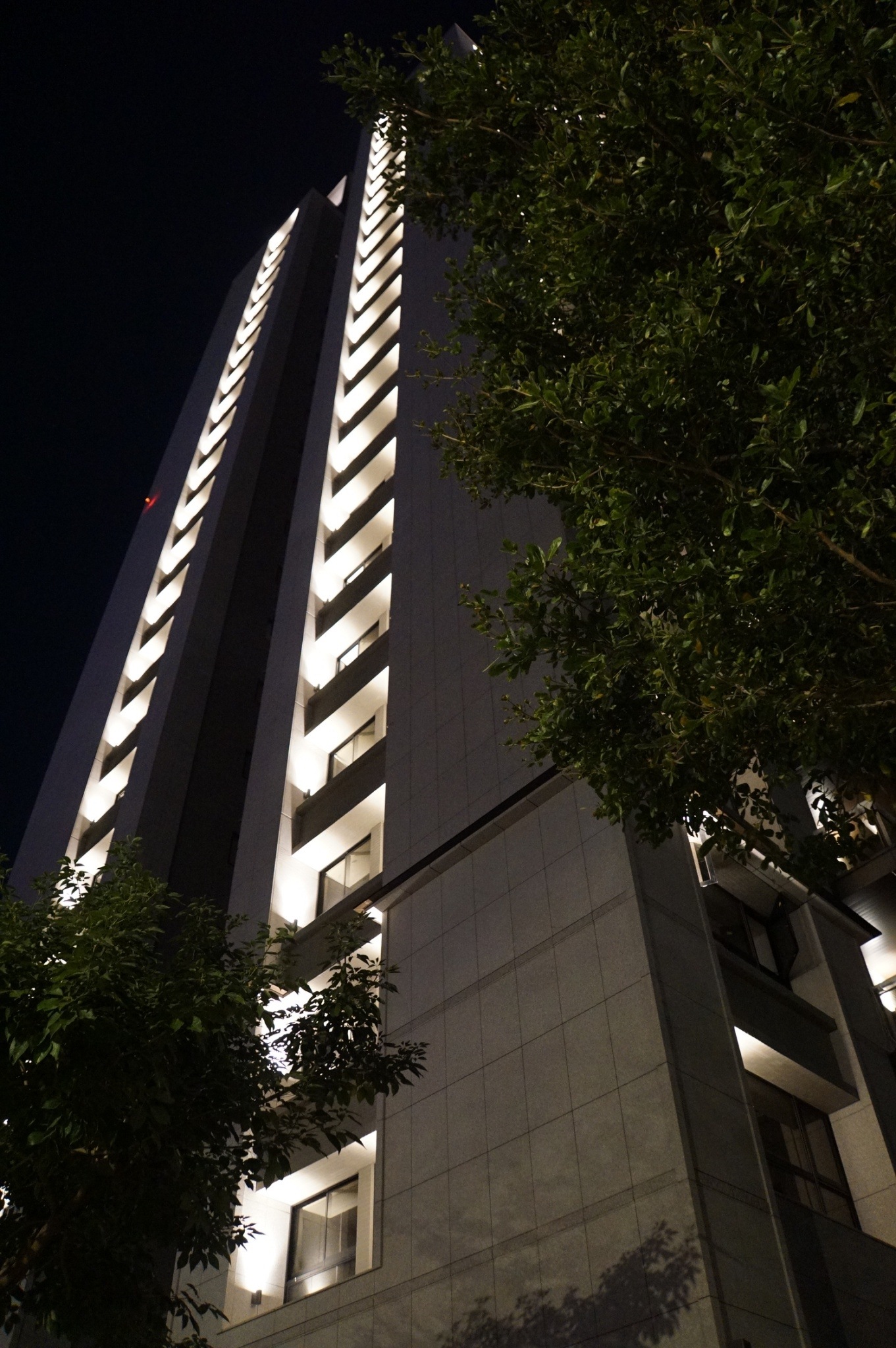 舜元睦森林<span>Shun Yuan Forest Walk</span>