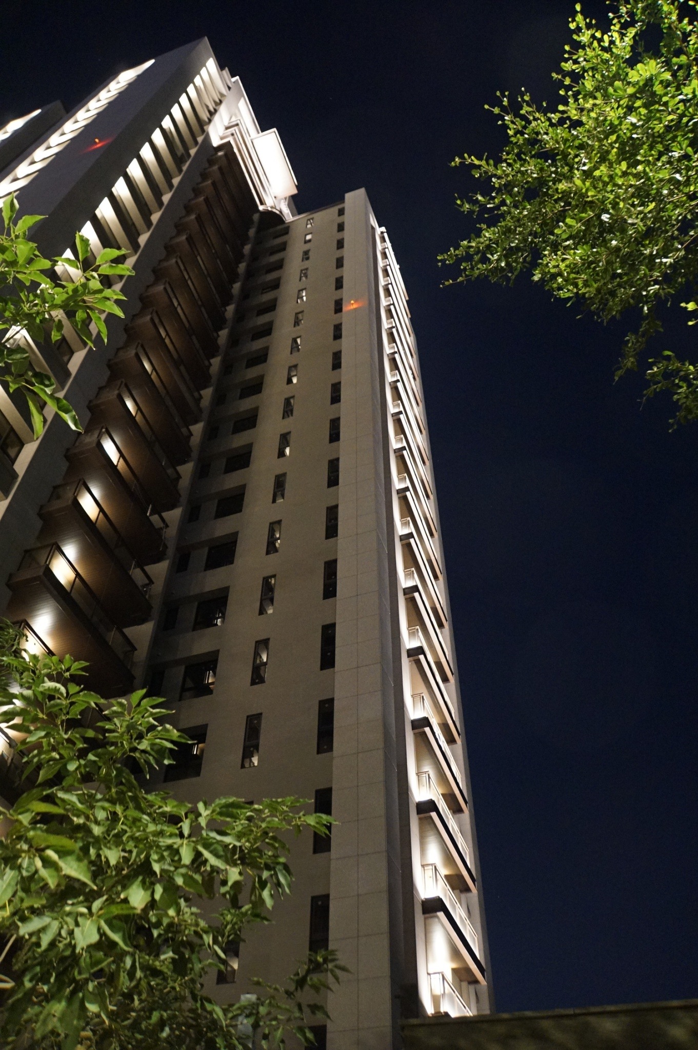 舜元睦森林<span>Shun Yuan Forest Walk</span>