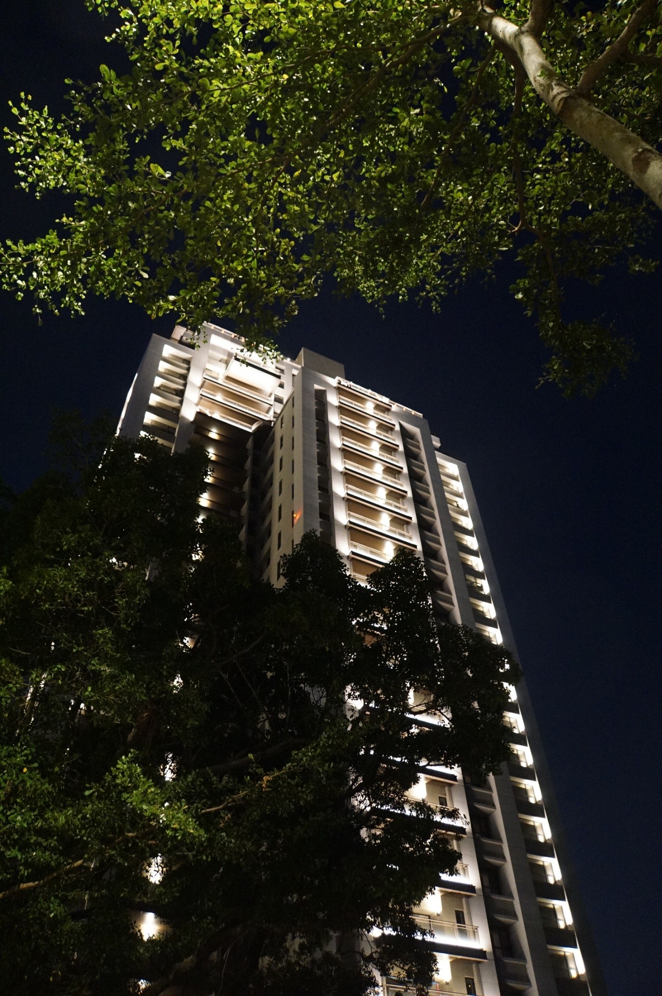 舜元睦森林<span>Shun Yuan Forest Walk</span>