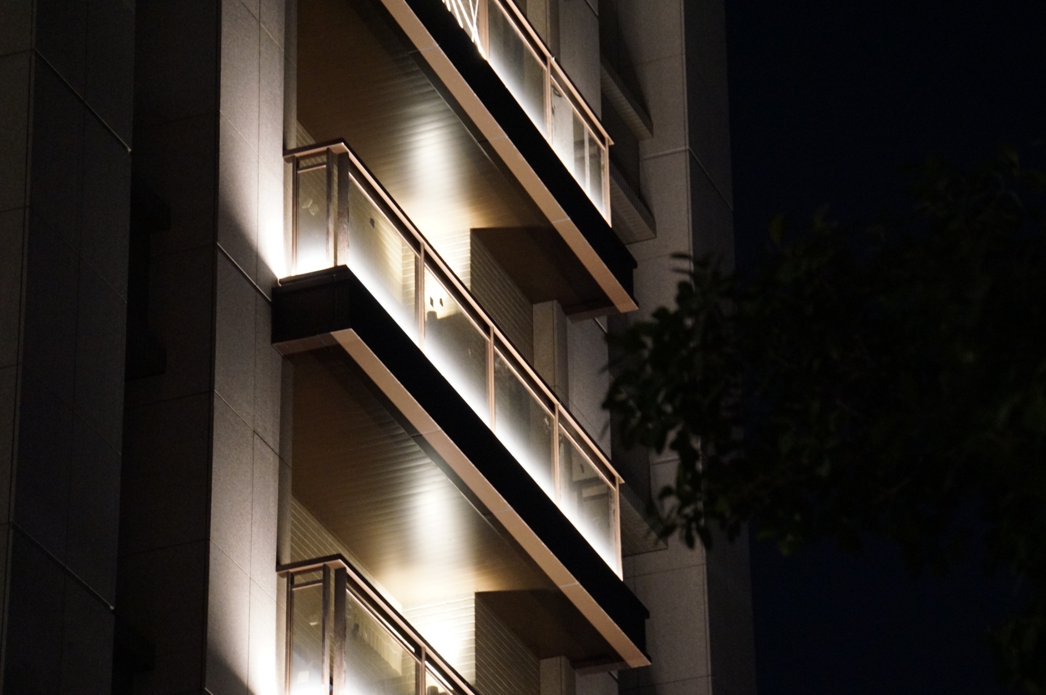 舜元睦森林<span>Shun Yuan Forest Walk</span>