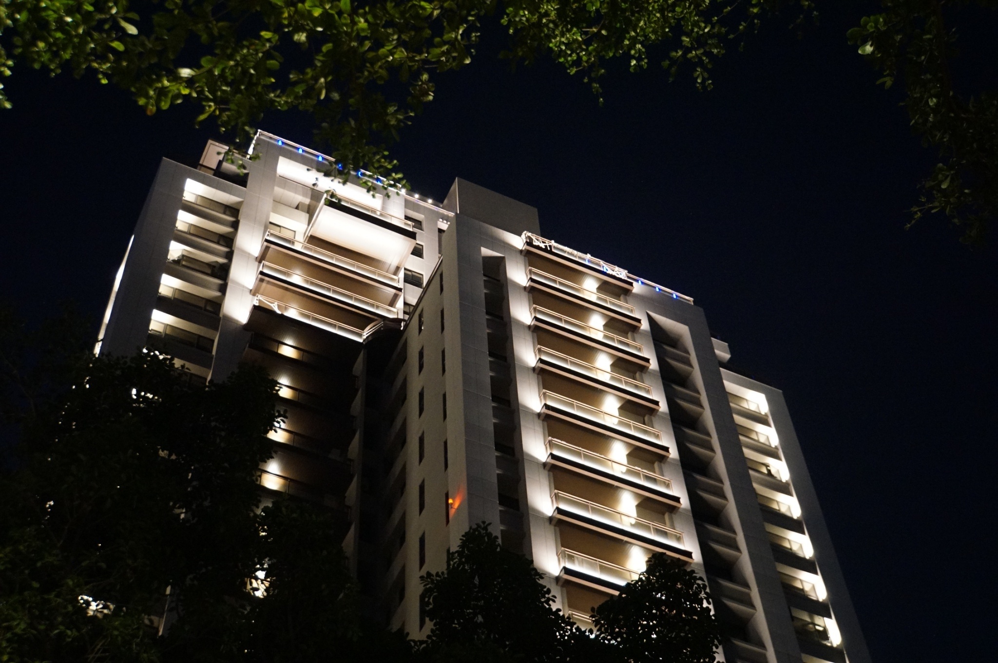 舜元睦森林<span>Shun Yuan Forest Walk</span>