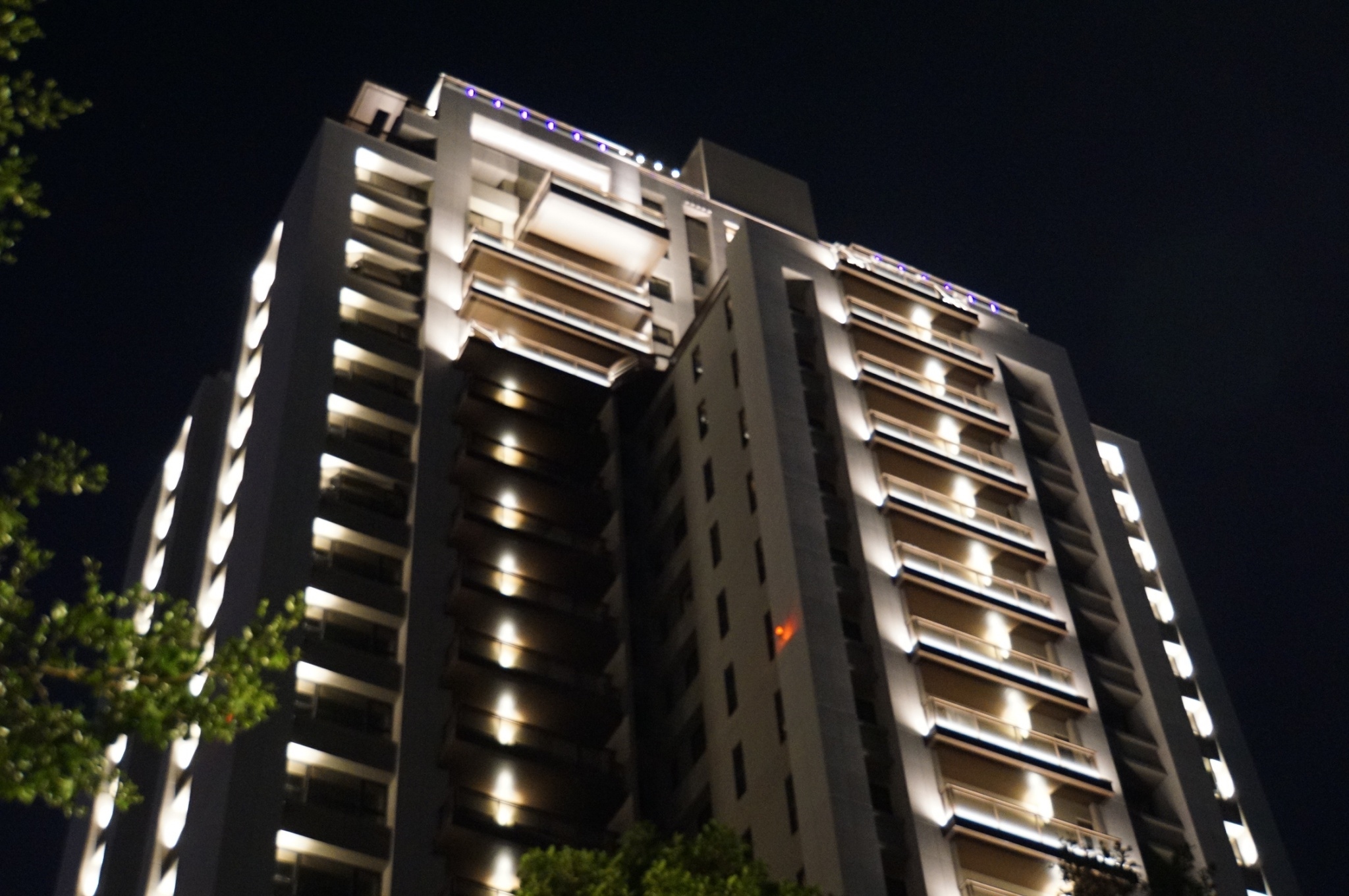 舜元睦森林<span>Shun Yuan Forest Walk</span>