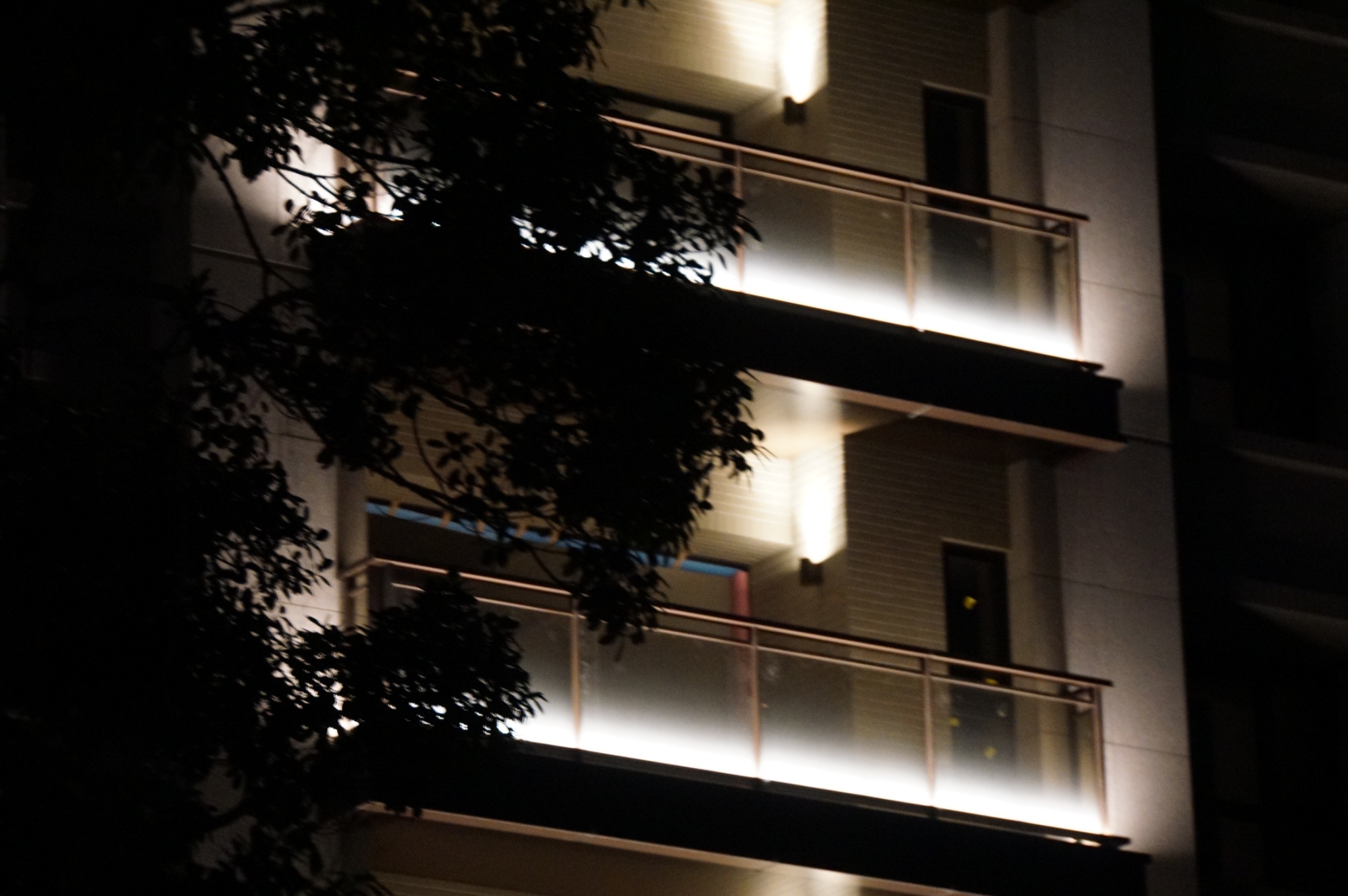 舜元睦森林<span>Shun Yuan Forest Walk</span>