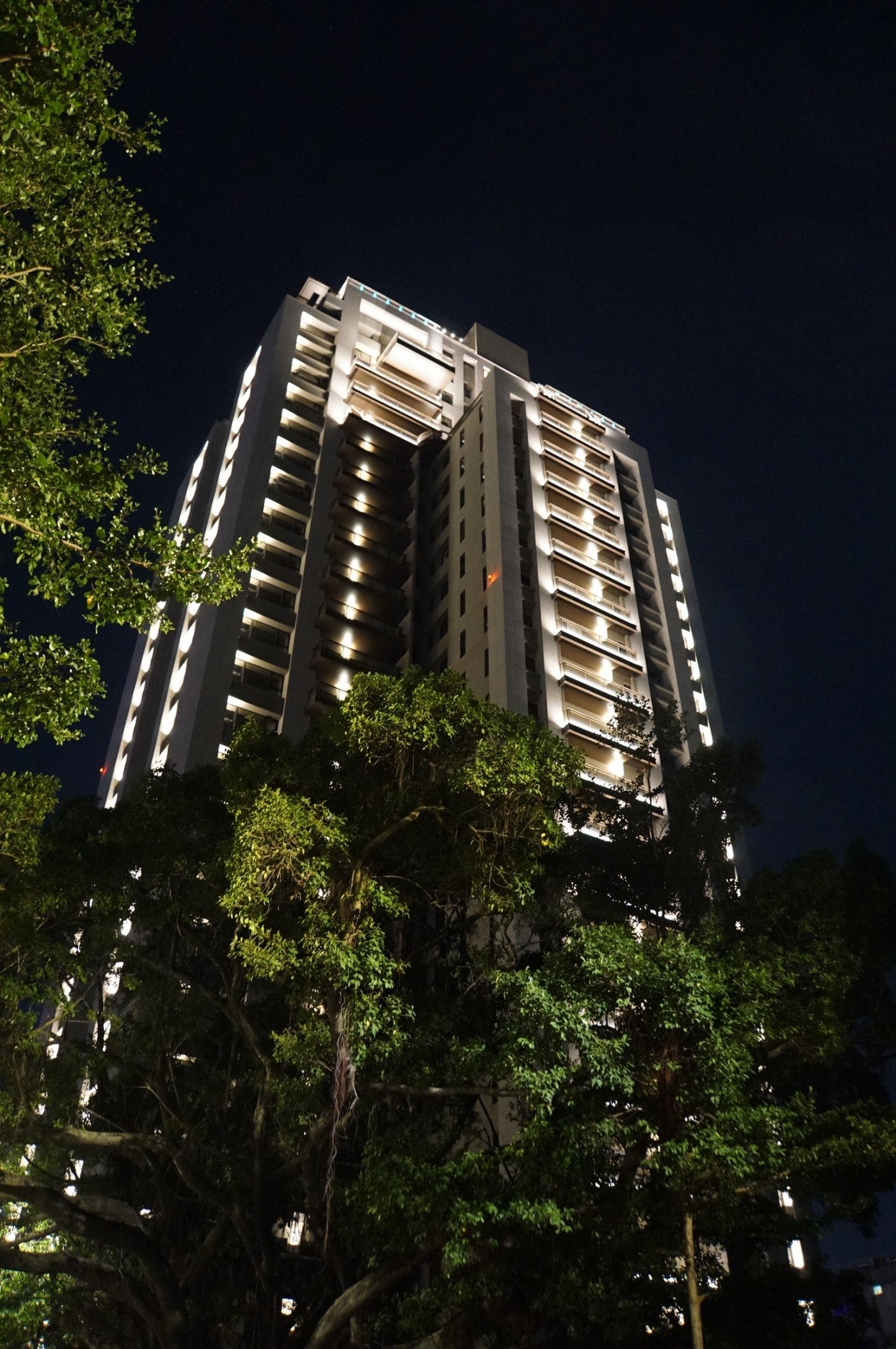 舜元睦森林<span>Shun Yuan Forest Walk</span>