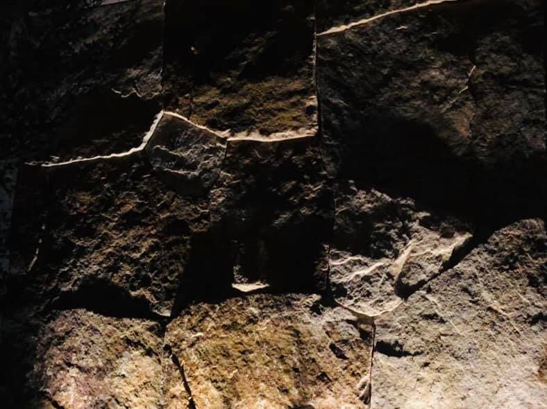 陸府植森<span>Live Forever Zhisen</span>