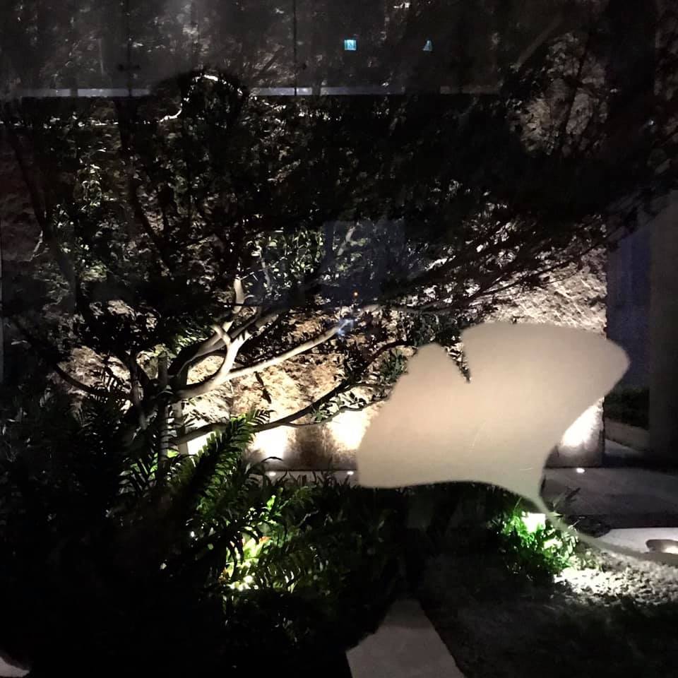 陸府植森<span>Live Forever Zhisen</span>