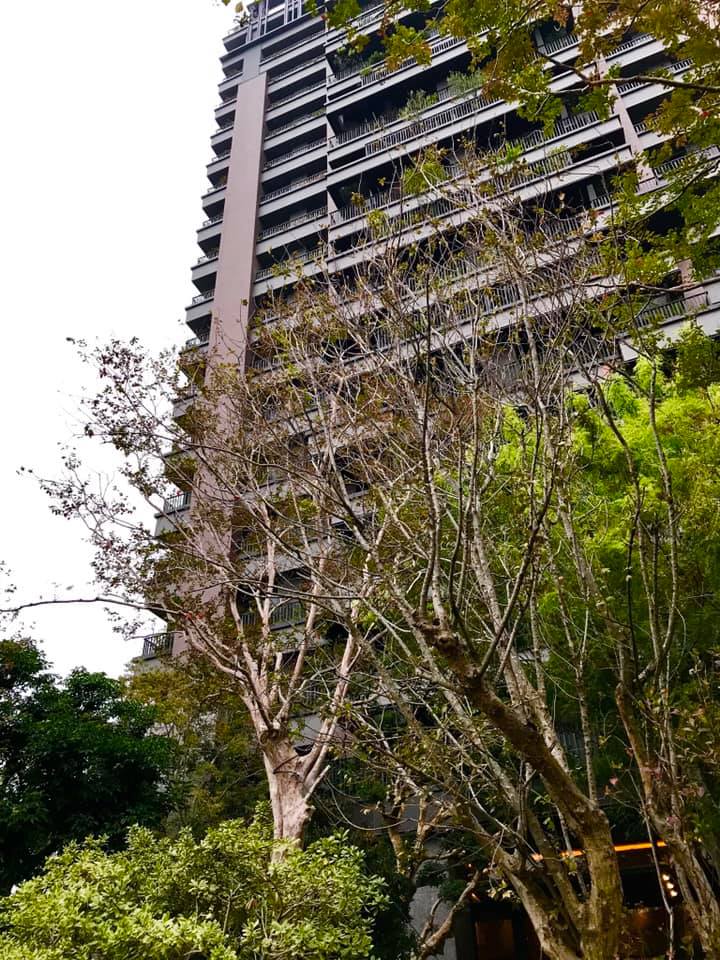 陸府植森<span>Live Forever Zhisen</span>