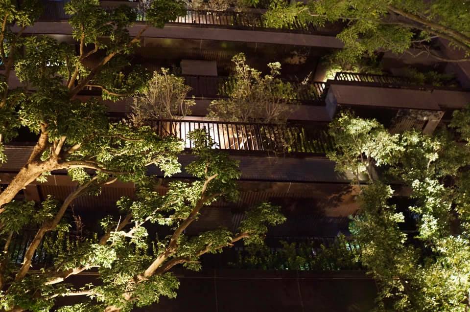 陸府植森<span>Live Forever Zhisen</span>