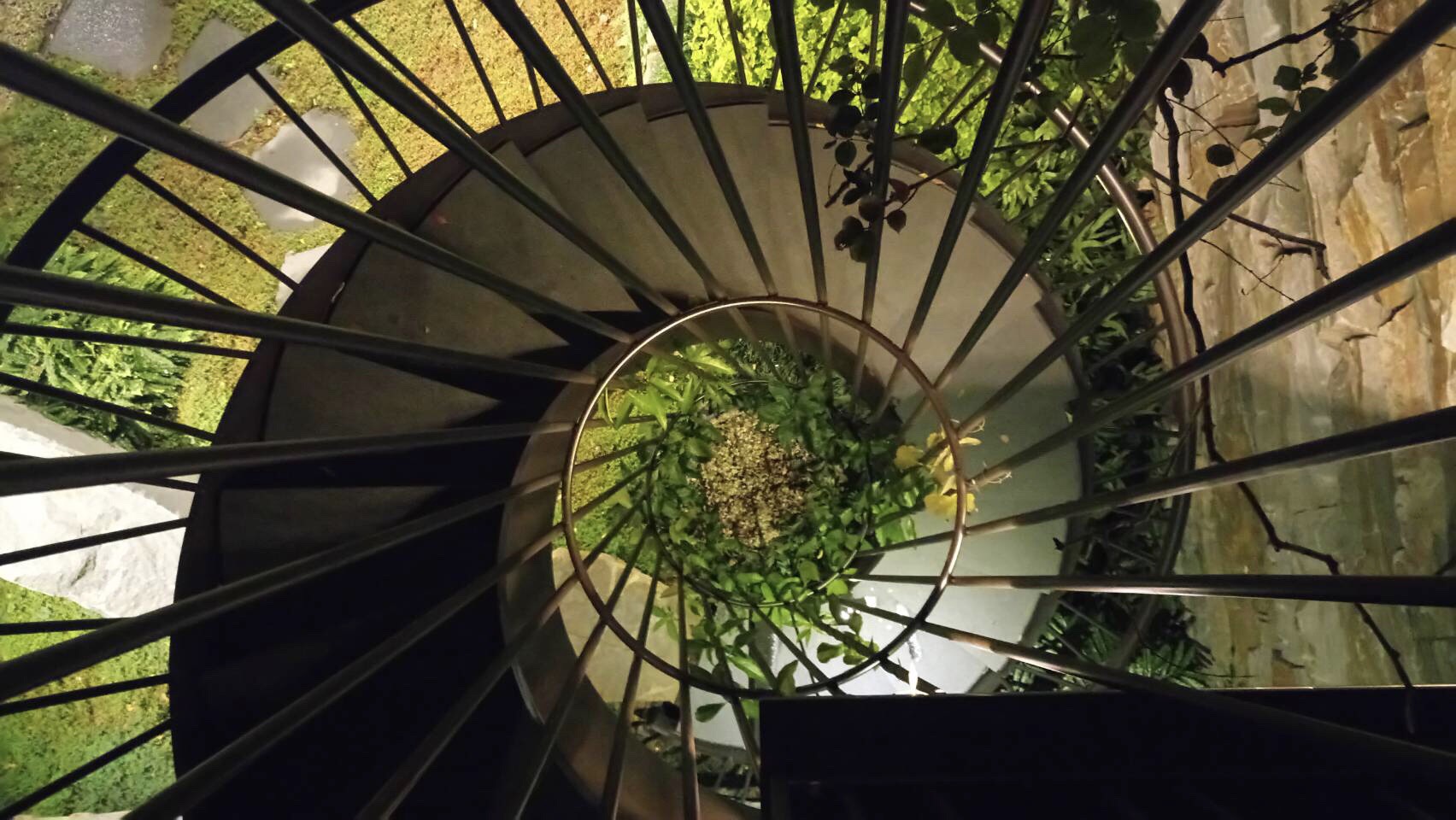 陸府植森<span>Live Forever Zhisen</span>