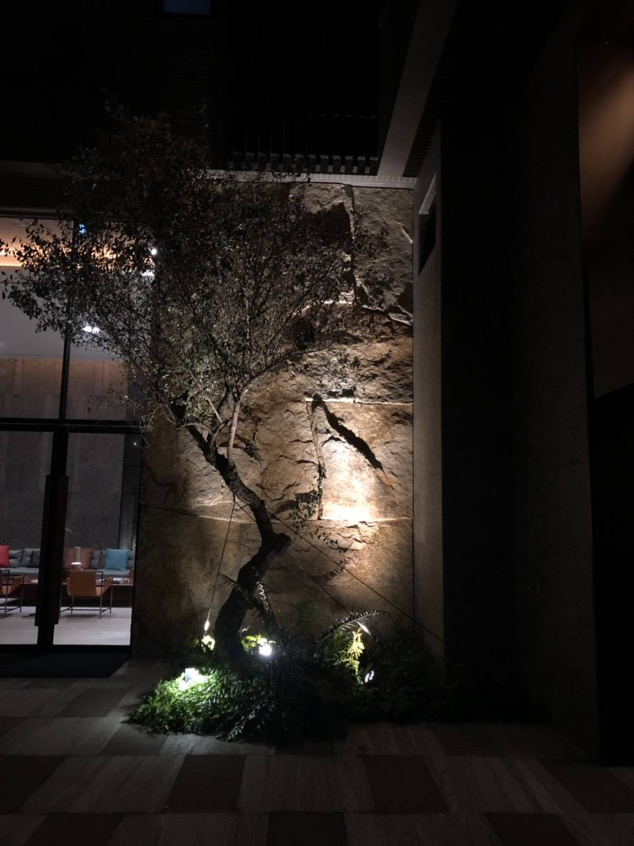 陸府植森<span>Live Forever Zhisen</span>