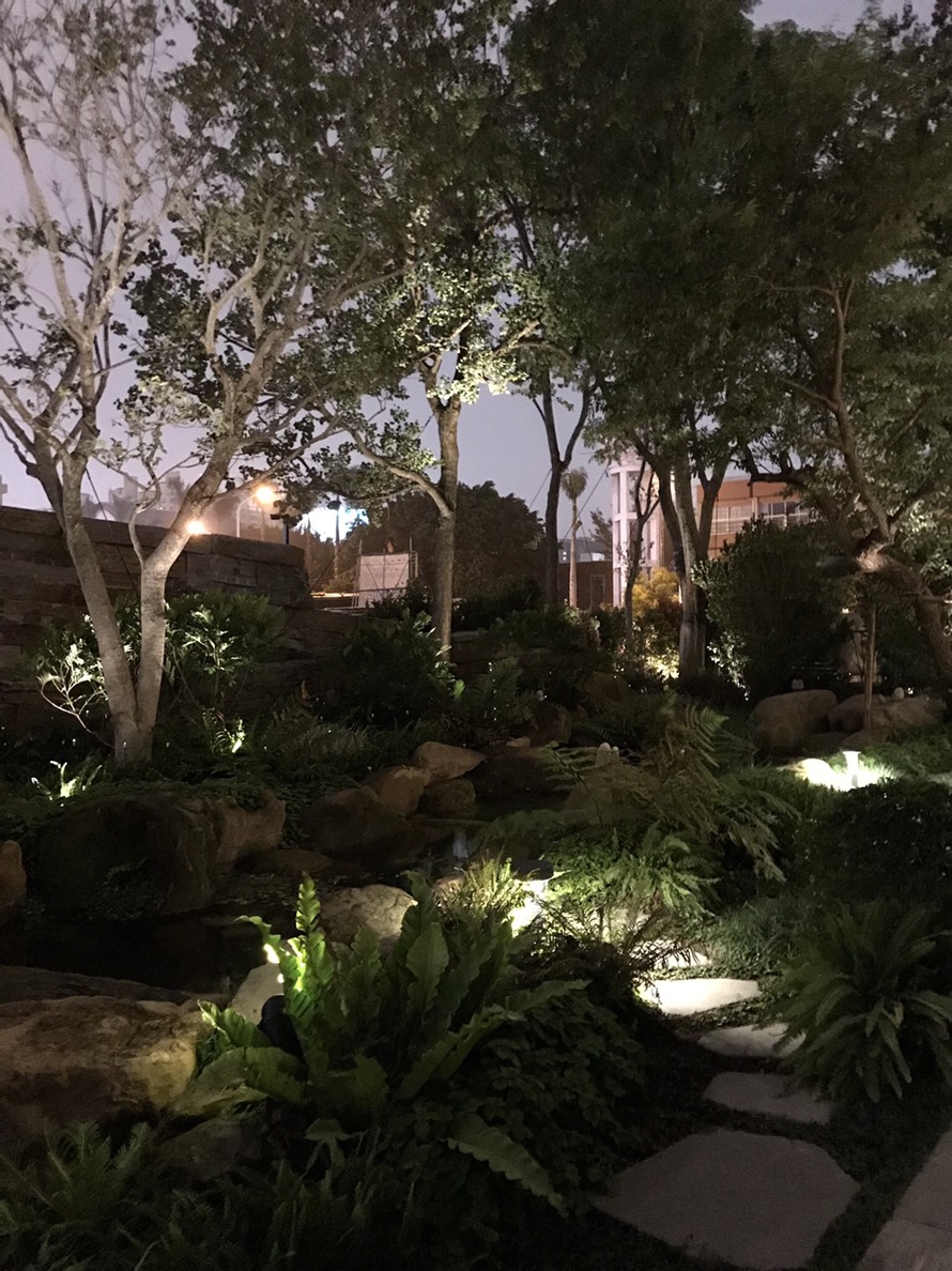 陸府植森<span>Live Forever Zhisen</span>