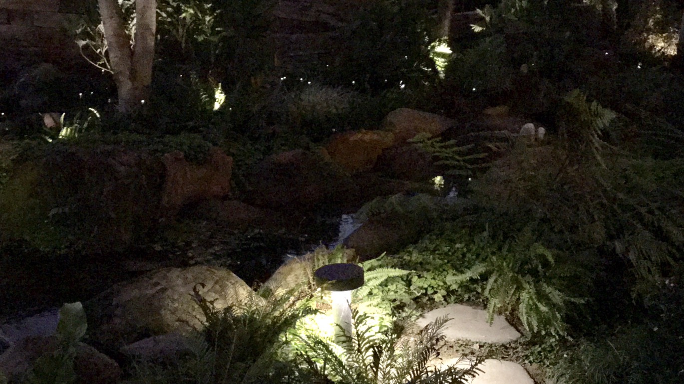 陸府植森<span>Live Forever Zhisen</span>