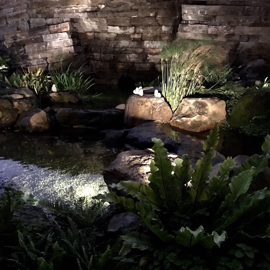 陸府植森<span>Live Forever Zhisen</span>