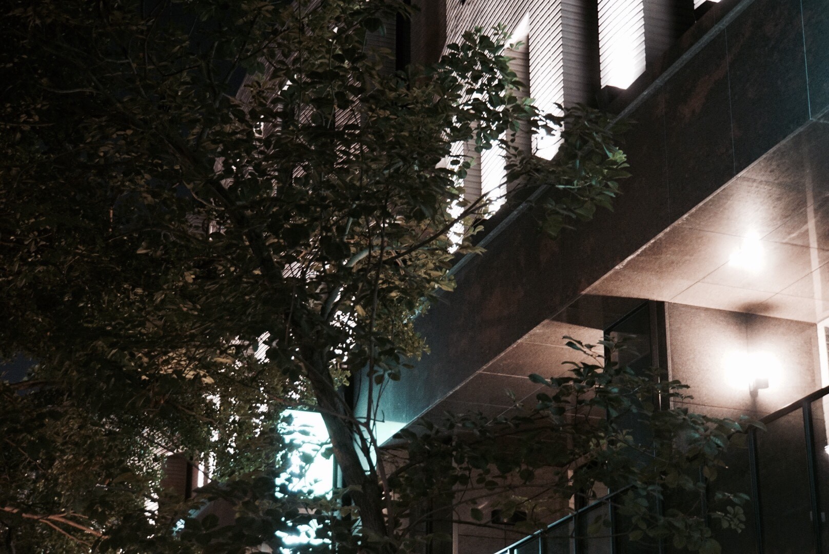 舜元獨立森林<span>Shun Yuan Forest House</span>