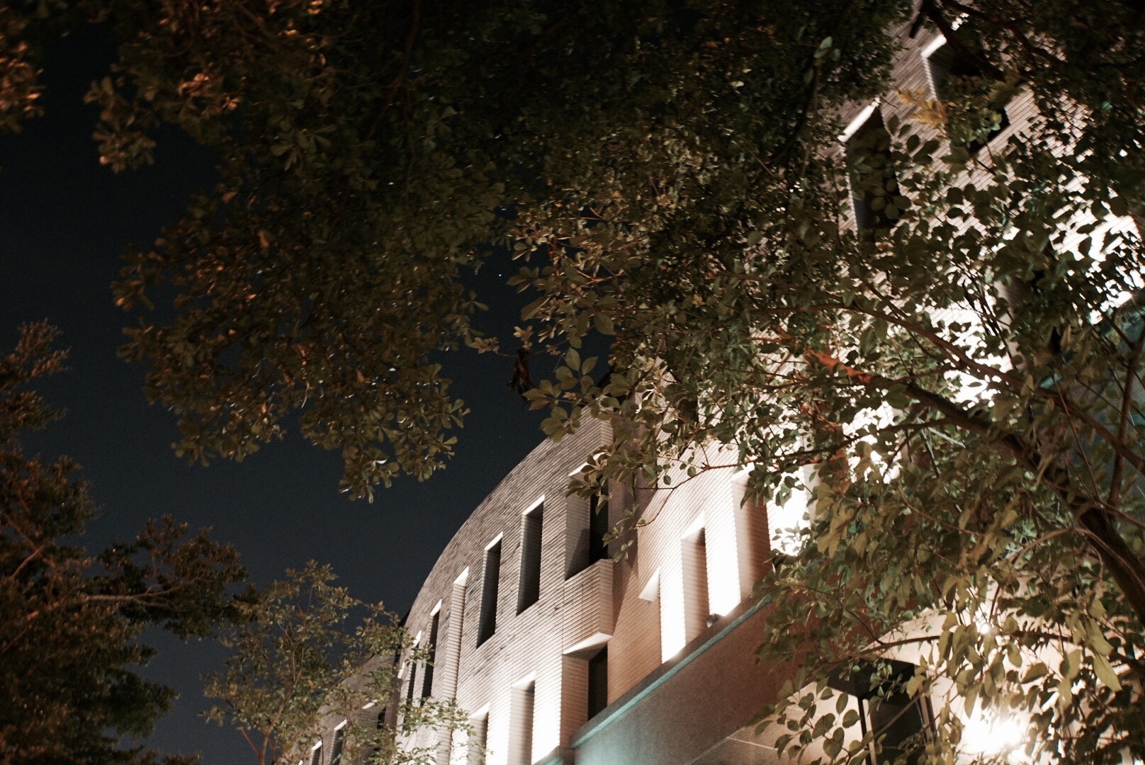 舜元獨立森林<span>Shun Yuan Forest House</span>