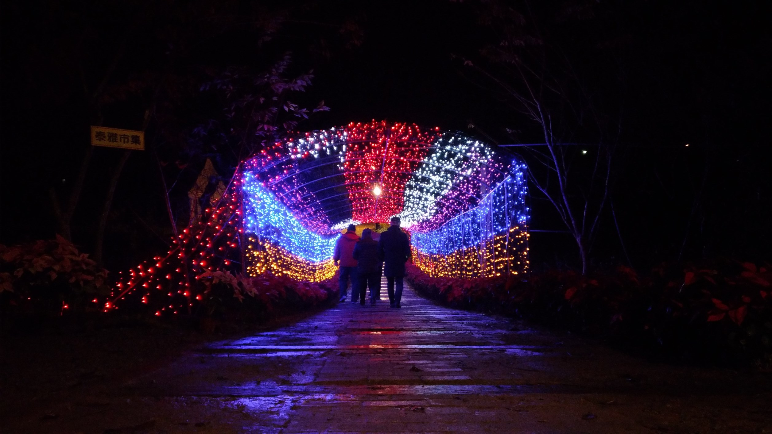 2017桃園三民山城紅花燈火節<span>2017 Taoyuan Sanmin Light Festival</span>