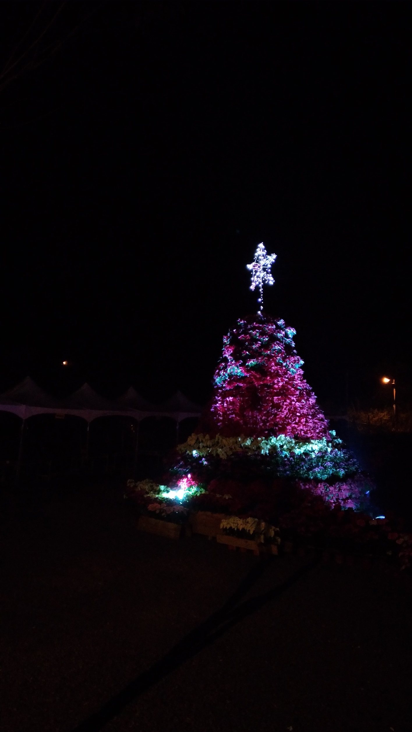 2017桃園三民山城紅花燈火節<span>2017 Taoyuan Sanmin Light Festival</span>
