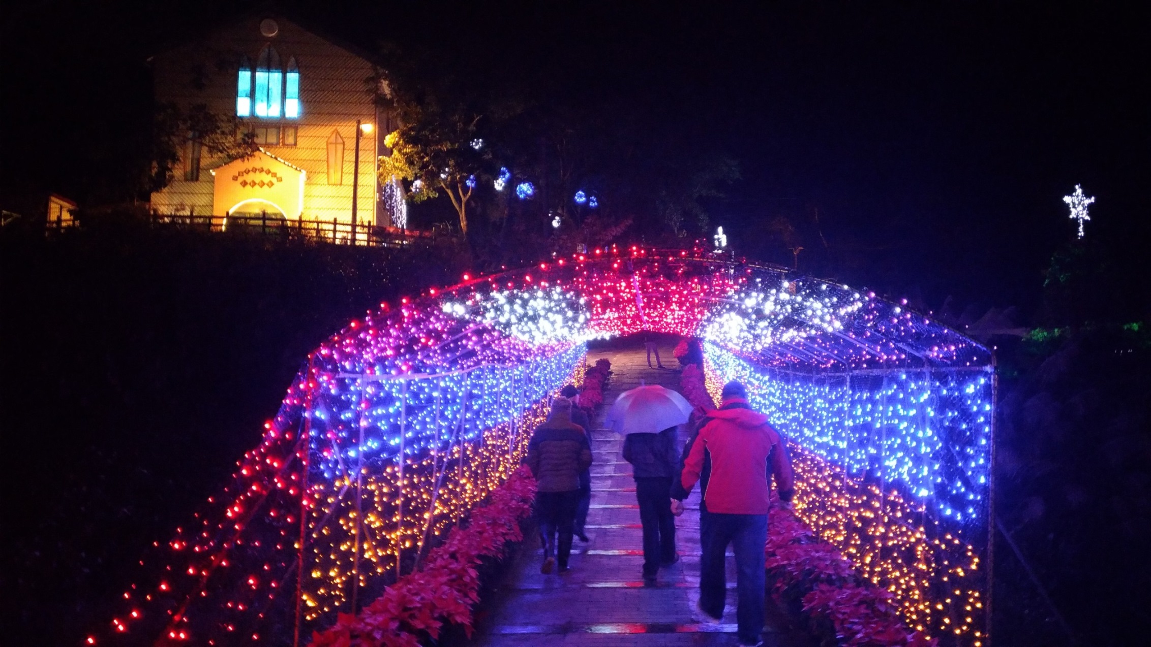 2017桃園三民山城紅花燈火節<span>2017 Taoyuan Sanmin Light Festival</span>