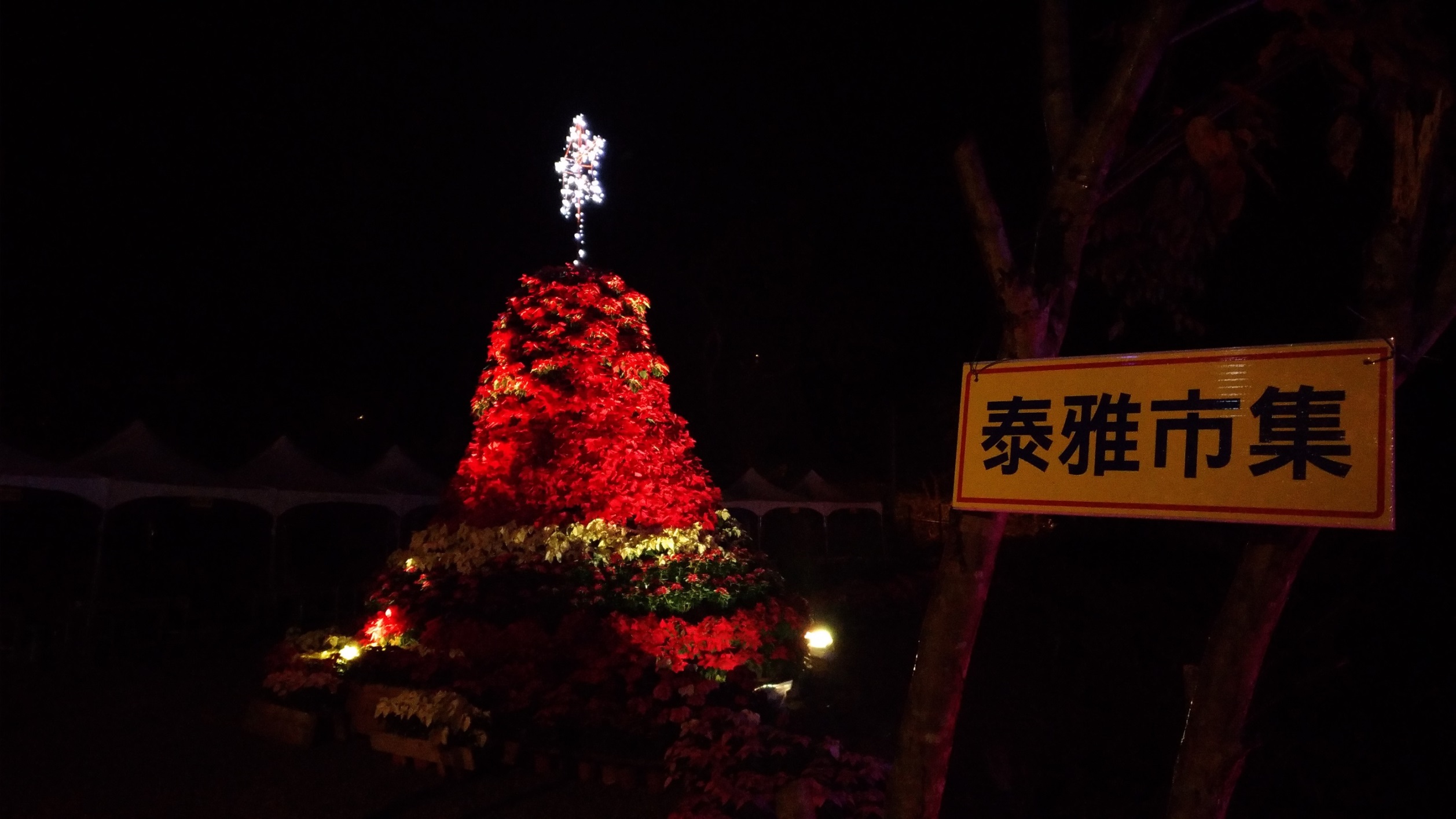 2017桃園三民山城紅花燈火節<span>2017 Taoyuan Sanmin Light Festival</span>