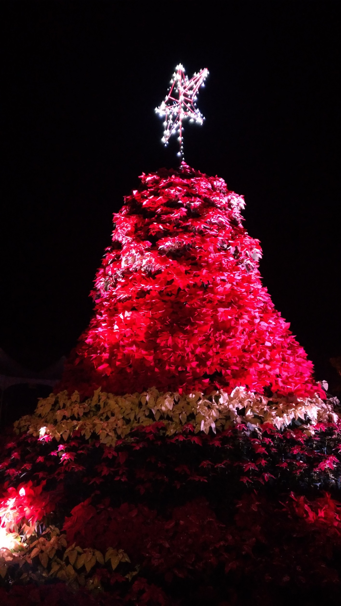 2017桃園三民山城紅花燈火節<span>2017 Taoyuan Sanmin Light Festival</span>