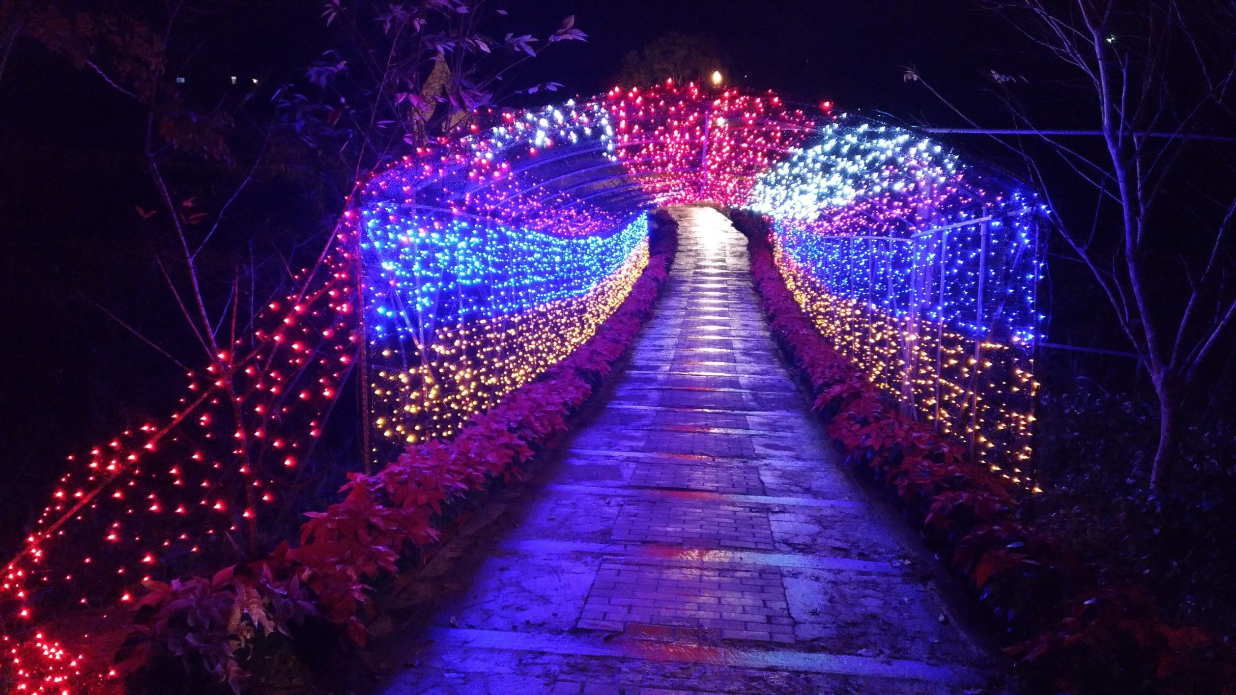 2017桃園三民山城紅花燈火節<span>2017 Taoyuan Sanmin Light Festival</span>